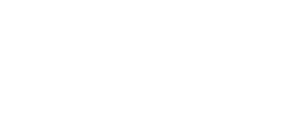 ICL Express USA – logo white